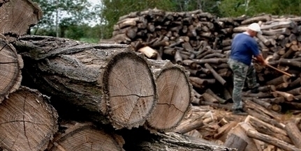 Még egy hónapig igényelhetik a téli rezsicsökkentést a fával és szénnel fűtők