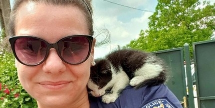 Motortérbe szorult kismacskát mentettek meg a rendőrök