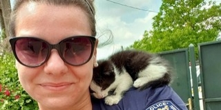 Motortérbe szorult kismacskát mentettek meg a rendőrök Motortérbe szorult kismacskát mentettek meg a rendőrök
