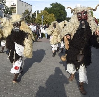 Nyáron is teszik a dolgukat a busók - A Summerfesten mutatják be tudományukat Nyáron is teszik a dolgukat a busók - A Summerfesten mutatják be tudományukat