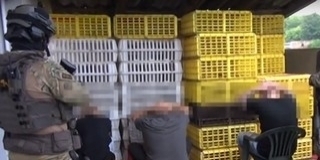 Kutyaviadal Mohácson: letöltendő börtönbüntetésre ítélték a szervezőket Kutyaviadal Mohácson: letöltendő börtönbüntetésre ítélték a szervezőket