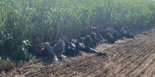 Jönnek és jönnek: megint Lánycsóknál fogtak migránsokat Jönnek és jönnek: megint Lánycsóknál fogtak migránsokat