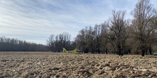 Lezuhant egy vadász a lesről Kölked közelében Lezuhant egy vadász a lesről Kölked közelében