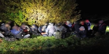 Újra a Mohácsi-szigeten, ezúttal Homorúd térségében tartóztattak fel migránsokat Újra a Mohácsi-szigeten, ezúttal Homorúd térségében tartóztattak fel migránsokat