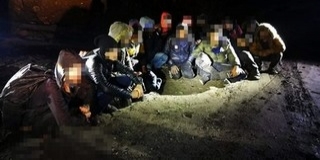Szíreket fuvarozó szíreket kaptak el a Mohácsi-szigeten Szíreket fuvarozó szíreket kaptak el a Mohácsi-szigeten