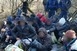 Megint csapatostól jöttek a migránsok Baranyába, harmincat fogtak reggel Megint csapatostól jöttek a migránsok Baranyába, harmincat fogtak reggel