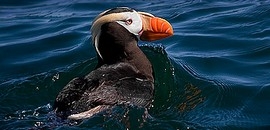 Beszámoló a fjordok országából