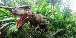 Saját sikerességük lehetett a dinoszauruszok veszte Saját sikerességük lehetett a dinoszauruszok veszte