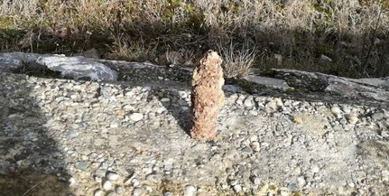 Páncéltörő gránátot találtak a pécsi hulladékudvarban Páncéltörő gránátot találtak a pécsi hulladékudvarban
