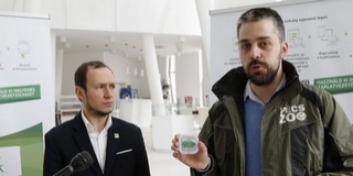 Ismét egy újdonsággal készül a Pécsi Állatkert a látogatói számára Ismét egy újdonsággal készül a Pécsi Állatkert a látogatói számára