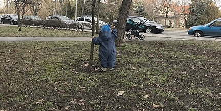 Tavasszal tovább zöldül Pécs, több száz új facsemetét ültetnek el szerte a városban Tavasszal tovább zöldül Pécs, több száz új facsemetét ültetnek el szerte a városban