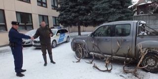 Trófeákat lopott egy férfi, elkapták a rendőrök Trófeákat lopott egy férfi, elkapták a rendőrök