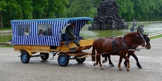 Lovas kocsival próbált meg elgázolni két polgárőrt egy férfi Vasason Lovas kocsival próbált meg elgázolni két polgárőrt egy férfi Vasason
