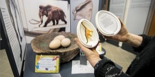 Interaktív játékok is várják a látogatókat a megújult Mecseki Bányászati Kiállításban