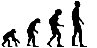A környezeti változások hatottak az emberi evolúcióra A környezeti változások hatottak az emberi evolúcióra