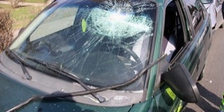 Anya és fia együtt kapta elő a kapát és a boxert Anya és fia együtt kapta elő a kapát és a boxert