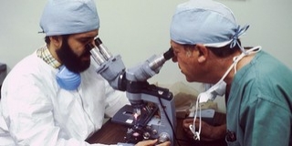 Nemzetközi hírű kutatókkal találkozhatnak a növendékek