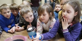 Közös programokkal köszönti az állatkert és Tettye Forrásház a víz világnapját