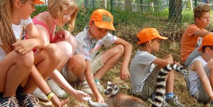 Idén nyáron is lesz zootábor, várják a gyerekeket Idén nyáron is lesz zootábor, várják a gyerekeket