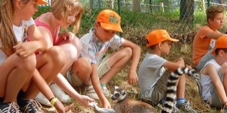 Idén nyáron is lesz zootábor, várják a gyerekeket Idén nyáron is lesz zootábor, várják a gyerekeket