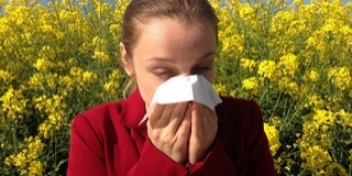 Kétmillió allergiás ember van az országban Kétmillió allergiás ember van az országban