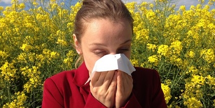 A modern életvitel is okolható az egyre több allergiásért