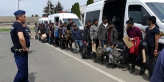Negyvenhárom migránst tartóztattak fel a határvédők Kölked és Kislippó térségében Negyvenhárom migránst tartóztattak fel a határvédők Kölked és Kislippó térségében