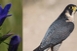 Természetvédelmi alkotópályázatot hirdet a nemzeti park Természetvédelmi alkotópályázatot hirdet a nemzeti park