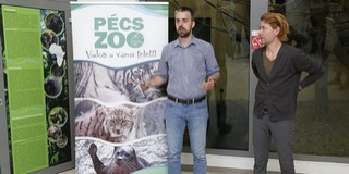 Alkotói pályázatot hirdet a PécsZoo, a tévhiteket szeretnék eloszlatni Alkotói pályázatot hirdet a PécsZoo, a tévhiteket szeretnék eloszlatni