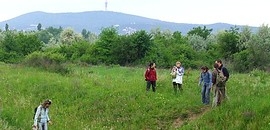 Szép lesz a tó Tüskésréten, de a parkra nincs fedezet Szép lesz a tó Tüskésréten, de a parkra nincs fedezet