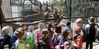 Élményközpont épül az állatkertben, diákok ezrei vehetik igénybe ingyen a szolgáltatásokat Élményközpont épül az állatkertben, diákok ezrei vehetik igénybe ingyen a szolgáltatásokat