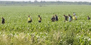 Lezuhant egy kisrepülőgép Szalánta térségében, ketten életüket veszítették a balesetben Lezuhant egy kisrepülőgép Szalánta térségében, ketten életüket veszítették a balesetben