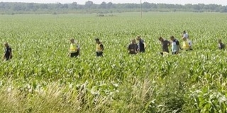 Várják azoknak a jelentkezését a rendőrök, akik látták a két áldozatot követelő repülőbalesetet Várják azoknak a jelentkezését a rendőrök, akik látták a két áldozatot követelő repülőbalesetet