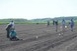 A mohácsi csatatérről tartanak munkatalálkozót Pécsett A mohácsi csatatérről tartanak munkatalálkozót Pécsett