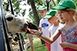 Fókát, lámát etethetnek, s még a víziló medencéjét is kitakarítják a ZooTábor lakói Fókát, lámát etethetnek, s még a víziló medencéjét is kitakarítják a ZooTábor lakói