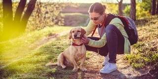 Így védhetjük meg kedvencünket a kullancsoktól Így védhetjük meg kedvencünket a kullancsoktól