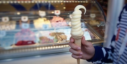 Alig találtak hiányosságokat az ellenőrök a jégkrémeknél Alig találtak hiányosságokat az ellenőrök a jégkrémeknél