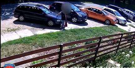 Nyolc autót is megrongált egy 69 éves pécsi nő, talán maga sem tudja, miért - Videó! Nyolc autót is megrongált egy 69 éves pécsi nő, talán maga sem tudja, miért - Videó!