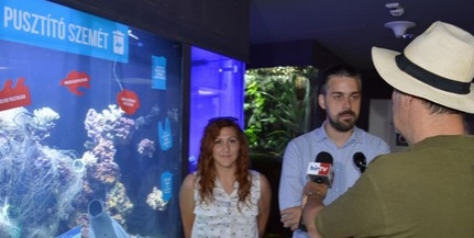 Elszomorító, ugyanakkor fontos dolgot mutat be a Pécsi Állatkert vadonatúj akváriuma