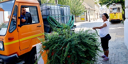 A tikkasztó forróság idején naponta százezer liter vizet használnak a növények öntözésére Pécsett A tikkasztó forróság idején naponta százezer liter vizet használnak a növények öntözésére Pécsett