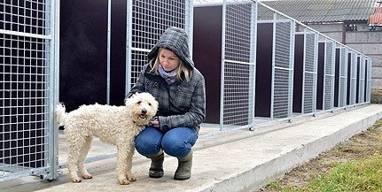 Állatokkal és beteg gyerekekkel foglalkozó szervezetek kapták a legtöbb felajánlást Pécsett Állatokkal és beteg gyerekekkel foglalkozó szervezetek kapták a legtöbb felajánlást Pécsett