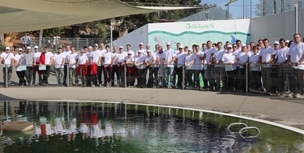 Ők is a vízilovakkal vannak: a Pécsi Állatkertben is önkéntesek dolgoztak Ők is a vízilovakkal vannak: a Pécsi Állatkertben is önkéntesek dolgoztak