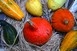 Vigyázat, a dísztökök nem mindegyike ehető Vigyázat, a dísztökök nem mindegyike ehető