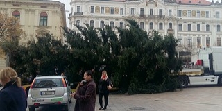 Pogányból érkezett meg pénteken a Széchenyi térre a Mindenki Karácsonyfája Pogányból érkezett meg pénteken a Széchenyi térre a Mindenki Karácsonyfája