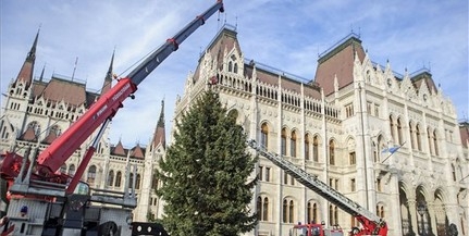 Felállították szerdán az Ország Karácsonyfáját Budapesten Felállították szerdán az Ország Karácsonyfáját Budapesten
