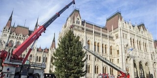 Felállították szerdán az Ország Karácsonyfáját Budapesten Felállították szerdán az Ország Karácsonyfáját Budapesten