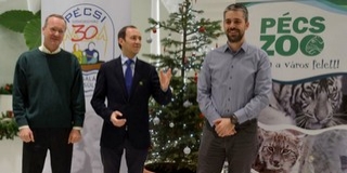 Plüssmaciért élő macit: jótékonysági játékgyűjtést rendeznek az állatkertben Plüssmaciért élő macit: jótékonysági játékgyűjtést rendeznek az állatkertben