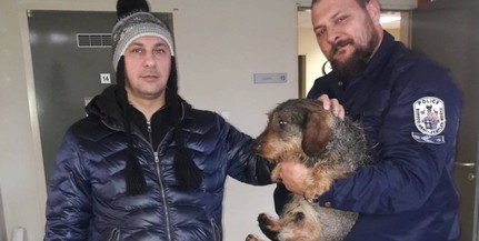 Tacskót mentettek ki a rendőrök a jeges Tiszából
