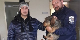 Tacskót mentettek ki a rendőrök a jeges Tiszából Tacskót mentettek ki a rendőrök a jeges Tiszából