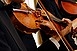 Haydn és Dvorak művei mesterektől Haydn és Dvorak művei mesterektől